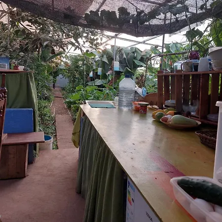 Twin In The Greenhouse Close To Mountains And Surf Paradise Campeggio *