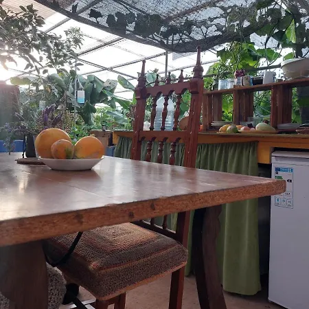 Twin In The Greenhouse Close To Mountains And Surf Paradise 테예나