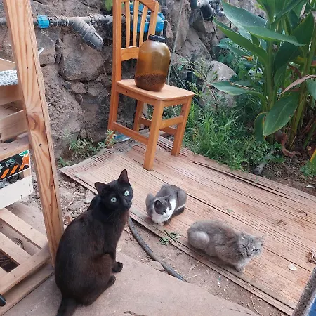 Twin In The Greenhouse Close To Mountains And Surf Paradise 캠프장 *
