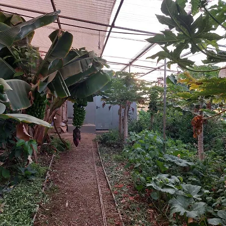 캠프장 Twin In The Greenhouse Close To Mountains And Surf Paradise 테예나