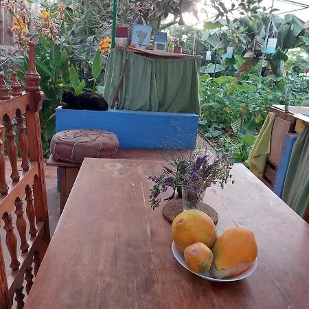 캠프장 Twin In The Greenhouse Close To Mountains And Surf Paradise *