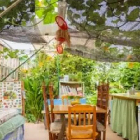 Campsite Twin In The Greenhouse Close To Mountains And Surf Paradise