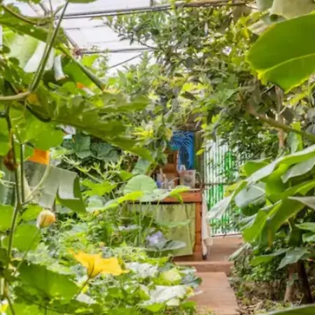 Campsite Twin In The Greenhouse Close To Mountains And Surf Paradise *